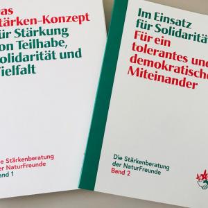 Handbuch Stärkenberatung